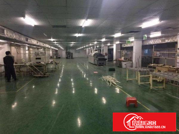 塘厦蛟乙塘独院二楼4000平带地平漆带消防喷淋