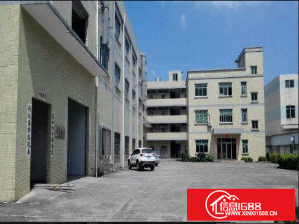 出租龙岗区平湖一楼1800平方米标准厂房