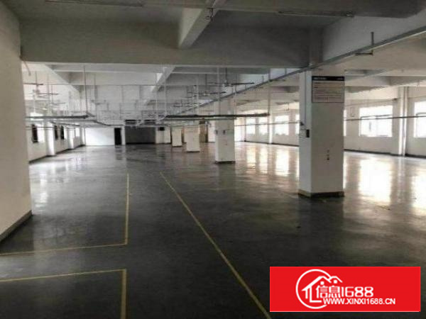 石排田寮原房东独院厂房，一栋两层3600平方米出租