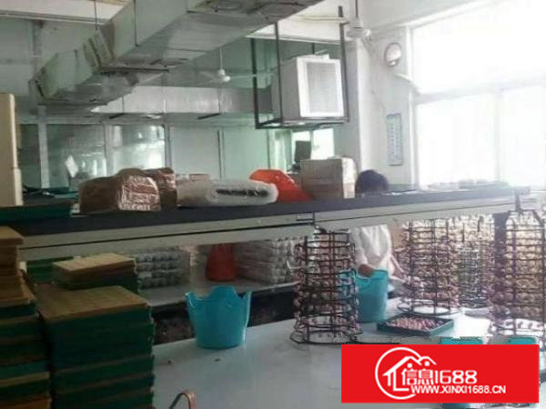 宝安松岗碧头大型环保工业园电镀厂大小分租证照齐全