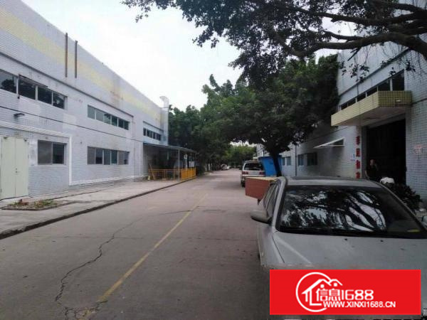 原房东全新带红本钢结构厂房出租