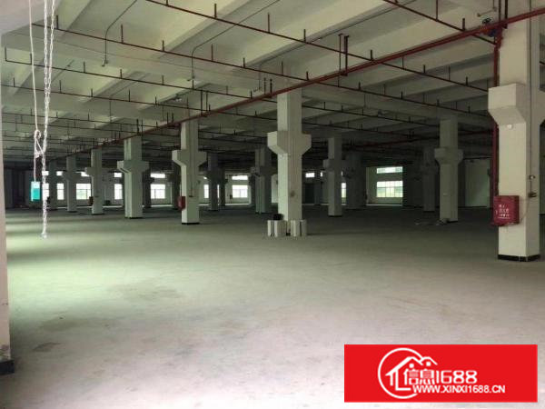 清溪全新花园式厂房大小分租