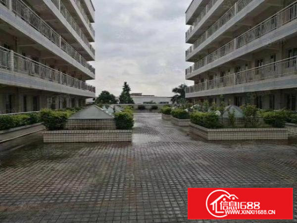 常平新出双证件独门独院厂房,现成高台卸货平台无尘车间,可分租