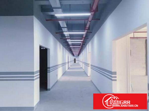 中城先进制造产业园招租200-20000平方（非中介）