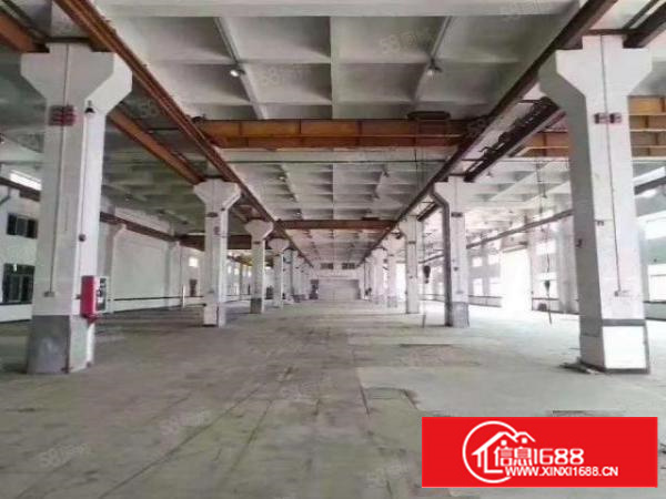 茶山工业园原房东标准独院工业用地厂房可以分租