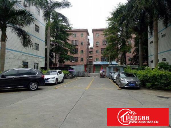 坪山区坑梓秀新社区一楼红本厂房860平米出租