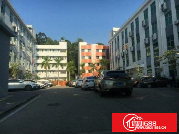 坪山石井工业区新出楼上1000平带装修厂房出租可分租