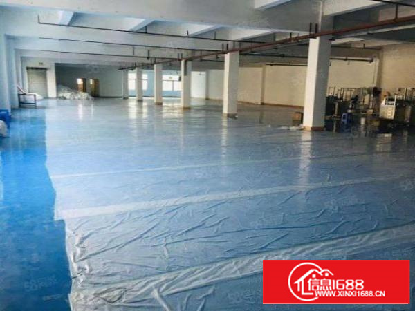 茶山新出楼上1500平方。手慢无