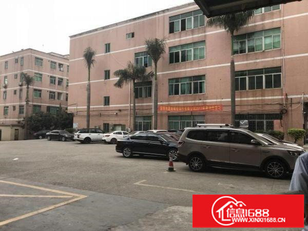 君子布一楼800平方厂房出租