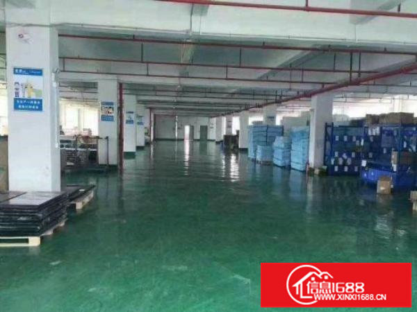 坪山原房东1楼500平带装修