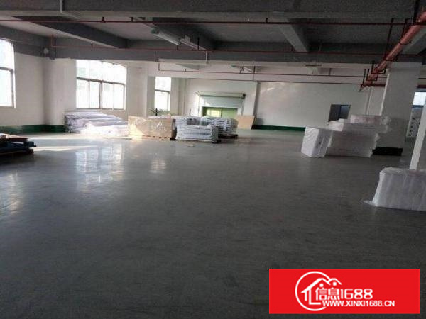 惠阳新墟一楼1450平方标准厂房出租现成装修