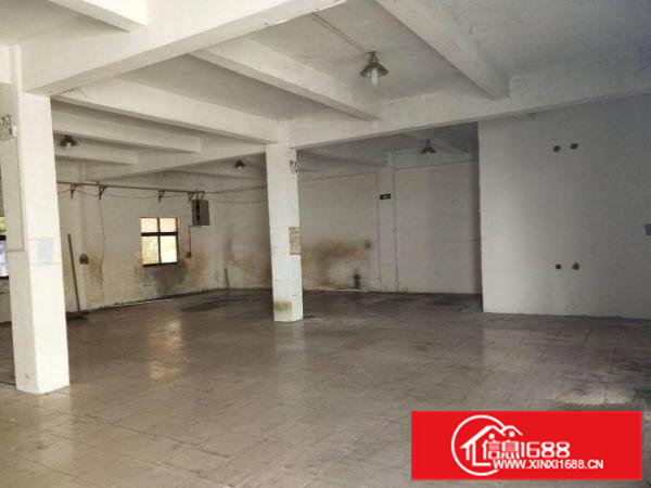 清溪三中原房东一楼550平米带装修招租，空地大