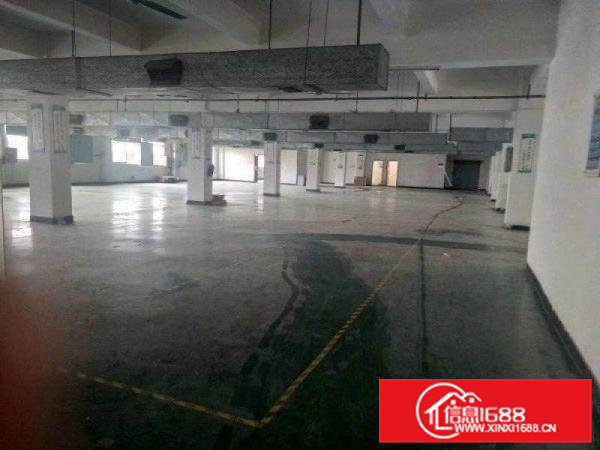 桥头镇新出标准厂房一楼1800平方出租，带地坪漆