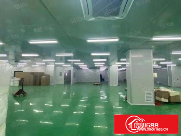 虎门南栅新出一整层2500方，带有现成的十万级无尘车间