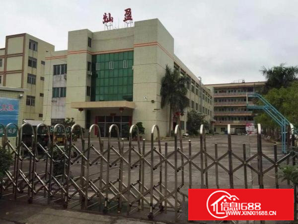 现房分租一楼700楼高6米适合各种行业