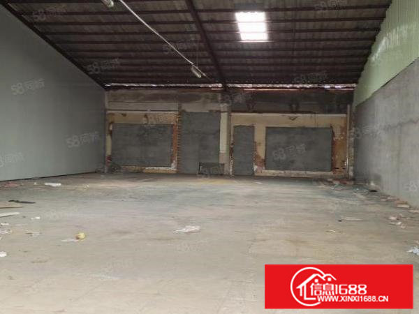 东莞茶山镇新出单一层小独院1260平方，现房