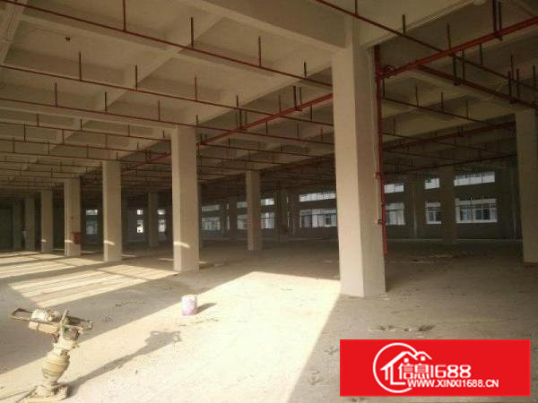 东莞市凤岗镇油甘埔新建成大型厂房出租