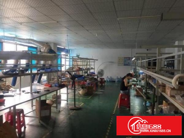 公明玉律楼上950平带装修厂房出租