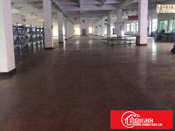 虎门新出独院厂房12000平米，宿舍2000，办公1000