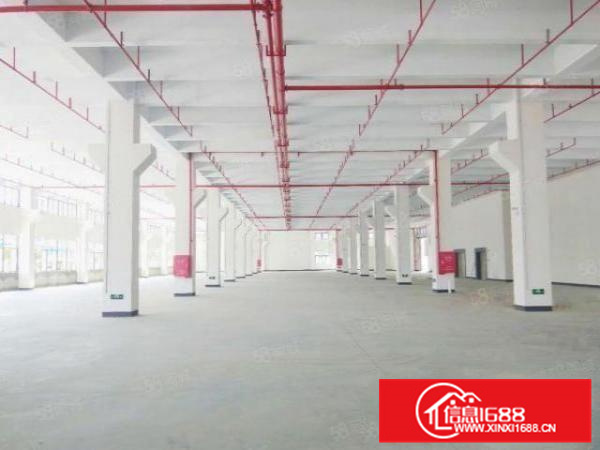 出租伦教工业区原房东标准一楼1500平方带牛腿红本本