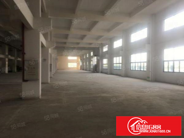 勒流江义800方国有厂房水泥首层，租金仅需18500月两押