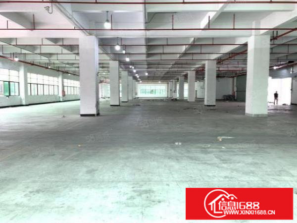 六约一楼450平方5米高业主直租空地大免费停车