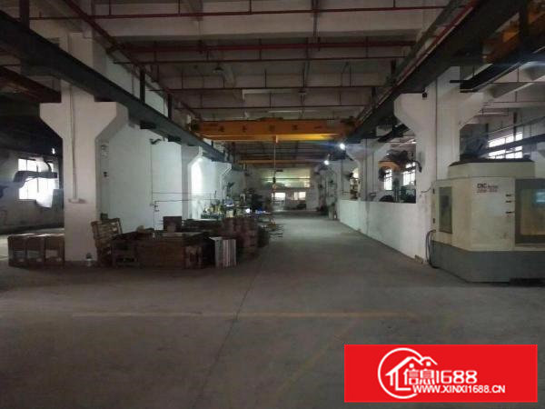 桥头镇大洲新出800平方带5吨行车