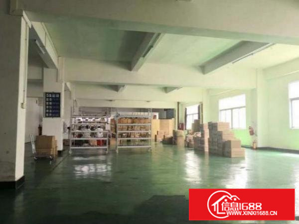 塘沥一楼标准厂房精装修分租300~600平，无公摊