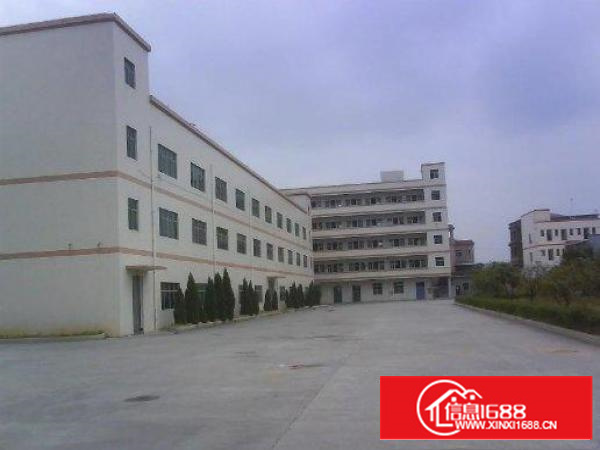 万江新出标准厂房分租楼上1500平方带地坪漆出租