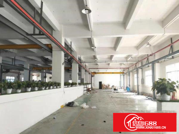 虎门小捷滘工业区原房东标准一楼1500平方带行车厂房