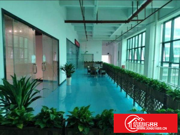 出租横沥镇石涌一楼950平精装修形象靓水电齐全位置好