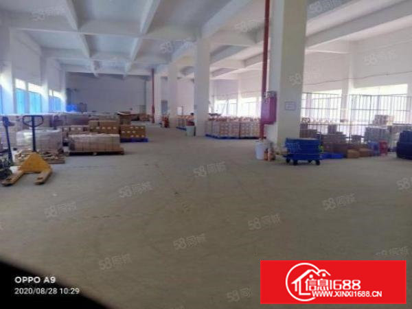 渔梁围6米高标准一楼一整层1500平招租，形象佳，适合模具