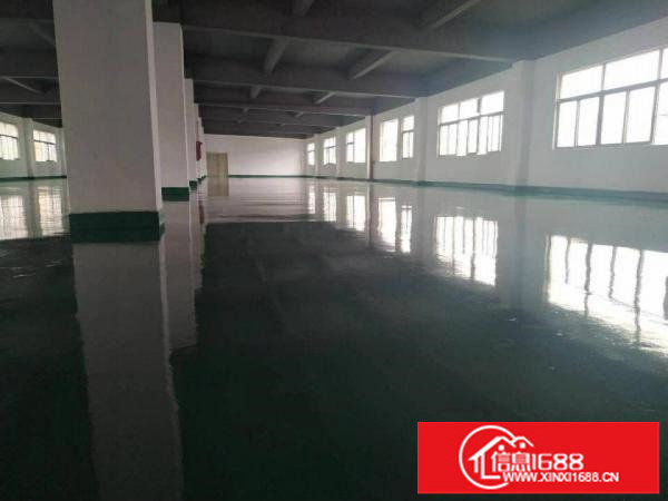 龙岗地铁站旁厂房出租1000平3000平带装修地坪漆可分租