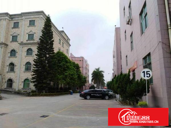 秋长维布2楼1000平带精装不限行业出租可分租