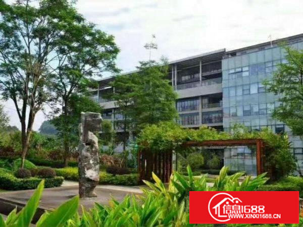 天安数码城小面积全新带装修写楼出租110-3000平米可分租