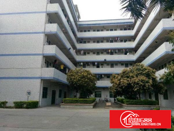 塘厦红本独院标准厂房22500平方火爆招租