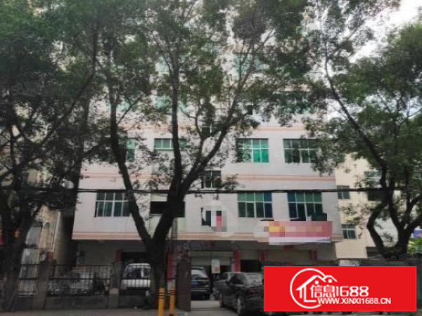 观澜牛湖工业园内500平厂房出租送顶楼两间空间超大分租