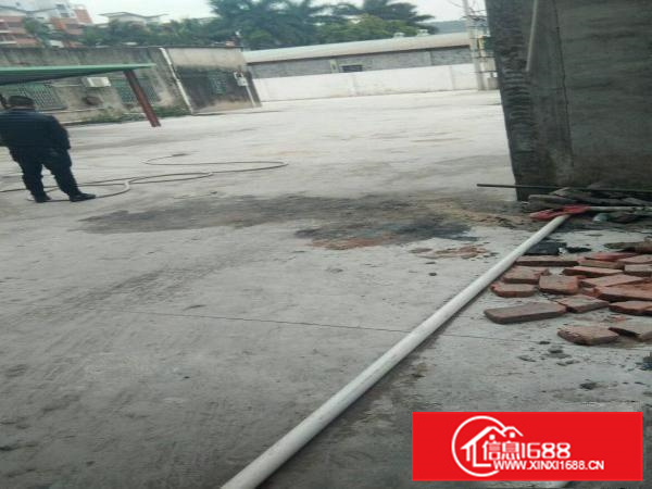 惠阳镇隆，2860平，可办环评的单一层钢构厂房出租