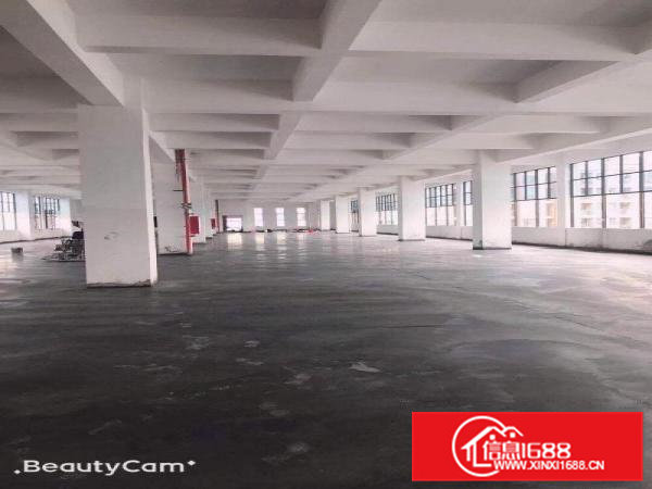 虎门南栅标准厂房整租，分租，可办环评，消防齐全