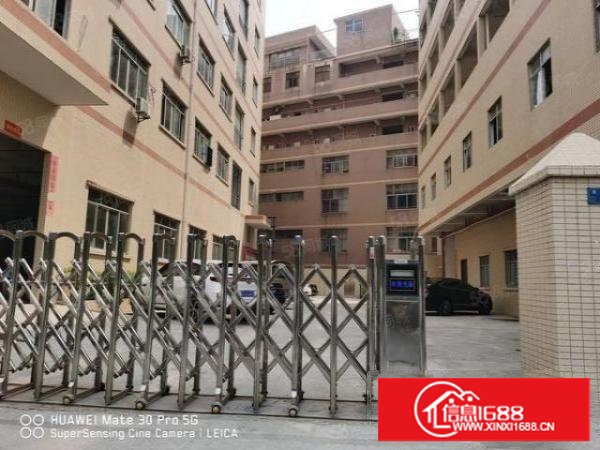 全新独院6000平方厂房出租