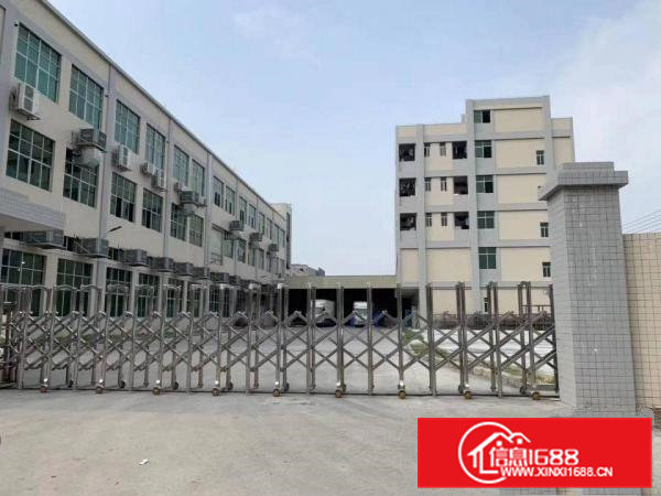 企石镇成熟工业区标准厂房出租企石镇原房东标准厂房出租带红本