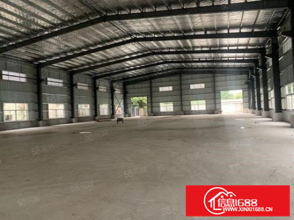 东坑一手房东独院钢构2000平方，实际面积出租，中间无柱子