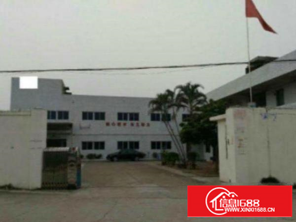 万江单一层钢构独院厂房3500平方出租带隔热水电装修电315