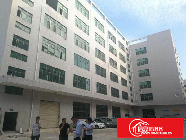 惠阳新圩原房东带红本独栋标准厂房4400出租