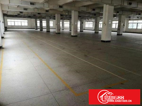 原房东一二楼各1000平方带装修行车水电齐全