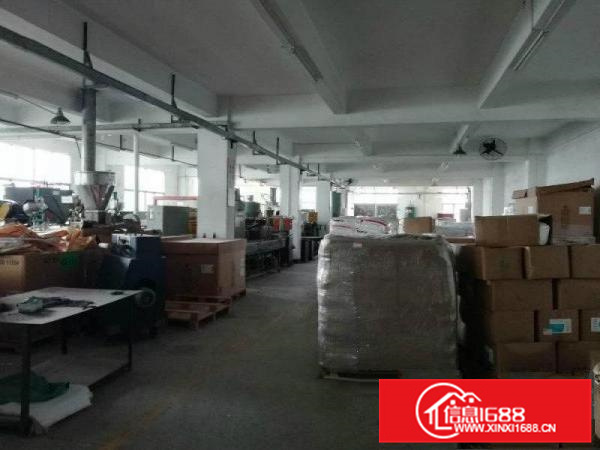 陈江标准独栋厂房3000平米出租