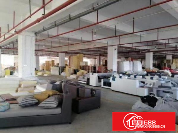 3150方带地坪漆办公室独院高大上厂房