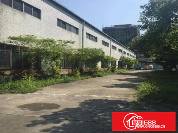 塘厦12米高钢构厂房出租5000平适合压铸模具