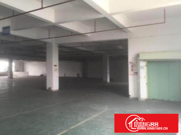 丹灶丹灶南沙工业区新出原房东独院分租1楼1500