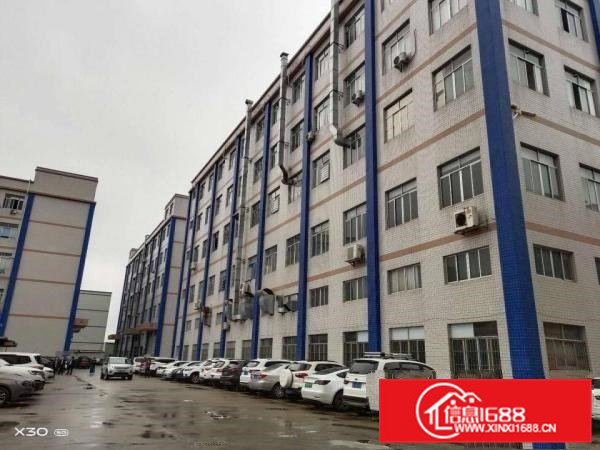 大岭山厚大路工业园楼上1700平厂房招租